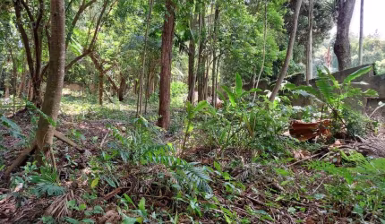 Terreno em condomínio fechado à venda na Recanto, Chácara Flora, São Paulo por R$ 10.000.000