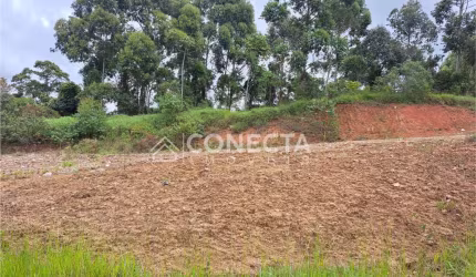 Terreno para Venda em Caldas, Laranjeiras de Caldas