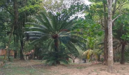 Sítio  para venda em Campo Grande, RJ
