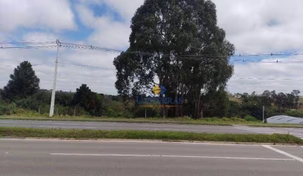 Terreno à venda, 4360 m² por R$ 1.800.000,00 - Atuba - Curitiba/PR
