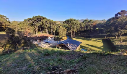 Chácara com 6 dormitórios à venda, 20000 m² por R$ 699.900,00 - Bacaetava - Bocaiúva do Sul/PR