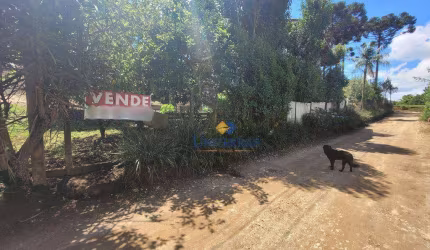 Terreno à venda, 300 m² por R$ 145.000 - São Gabriel - Colombo/PR