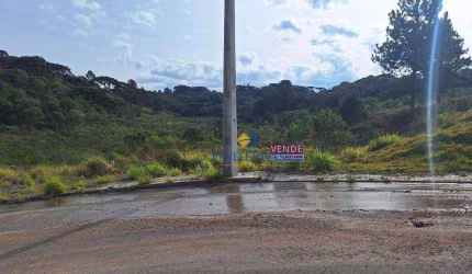 Terreno à venda, 575 m² por R$ 270.000,00 - Centro - Campina Grande do Sul/PR