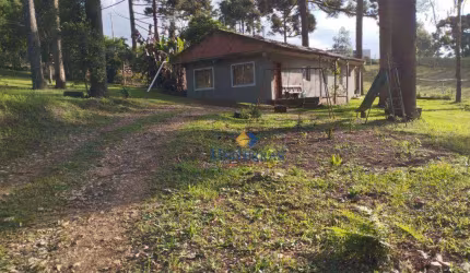 Chácara com 3 dormitórios à venda, 1000 m² por R$ 180.000,00 - Saltinho - Campina Grande do Sul/PR
