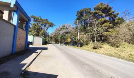 Terreno à venda, 2000 m² por R$ 700.000,00 - São Gabriel - Colombo/PR