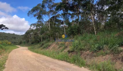Terreno à venda, 525 m² por R$ 2.390.000,00 - Centro - Bocaiúva do Sul/PR