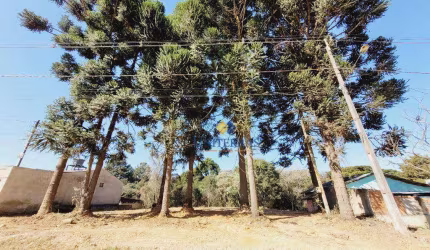 Terreno à venda, 182 m² por R$ 99.000,00 - Parque do Embu - Colombo/PR