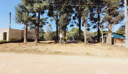 Terreno à venda, 701 m² por R$ 199.000,00 - Parque do Embu - Colombo/PR