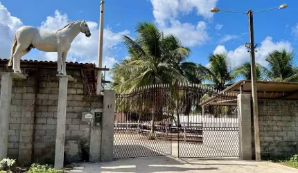 Ótima oportunidade de investimento com esse lindo haras!