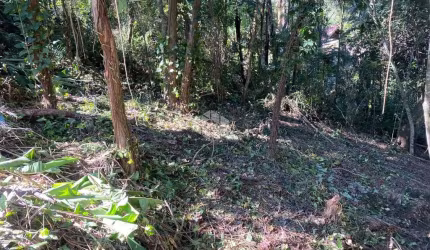 Terreno à venda, 473 m² por R$ 52.000,00 - Interlagos Village - Mairiporã/SP