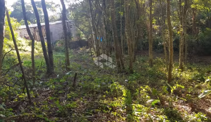 Terreno à venda, 1250 m² por R$ 110.000,00 - Paraíso da Cantareira - Mairiporã/SP