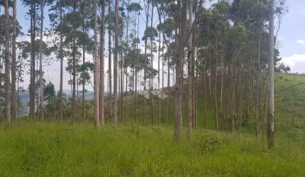 Área à venda, 108.750 m² por R$ 400.000 - Ponte Alta - Mairiporã/SP