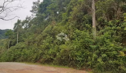 Terreno à venda, 1030 m² por R$ 135.000 - Parque Petrópolis - Mairiporã/SP