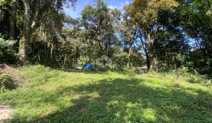 Terreno com 2.410m² a venda por R$ 190.000,00 - Afonso Esteves - Mairiporã/SP