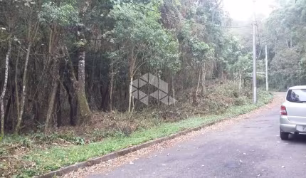 Terreno à venda, 2862 m² por R$ 265.000,00 - Parque Germânia - Mairiporã/SP