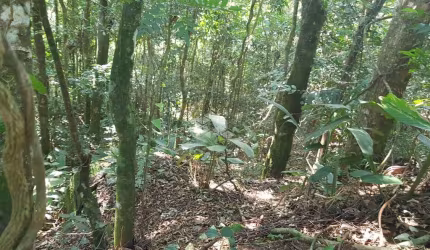 Terreno R$ 120.000,00 com 1.850m²; Paraiso Cantareira-Mairiporã