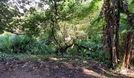 Terreno à venda no Jardim da Glória, Cotia  por R$ 1.499.990