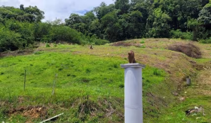 Terreno para Venda em Jaraguá do Sul, Nova Brasilia