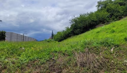 Terreno para Venda em Jaraguá do Sul, Nova Brasilia