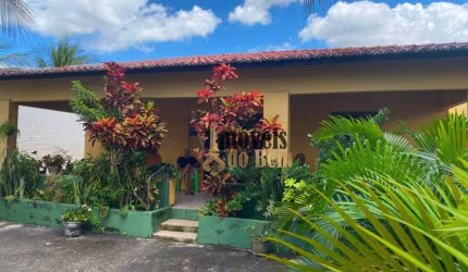Chácara com 3 dormitórios à venda, 900 m² por R$ 295.000,00 - Novo Iguapé - Iguape/CE