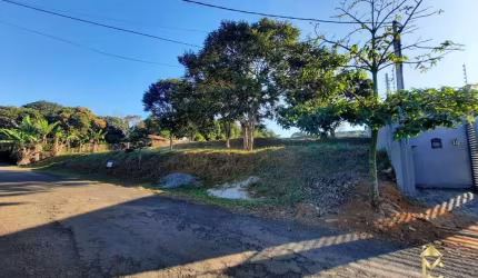 Terreno à venda, 5000 m² por R$ 1.699.000 - Chácaras Cataguá - Taubaté/SP