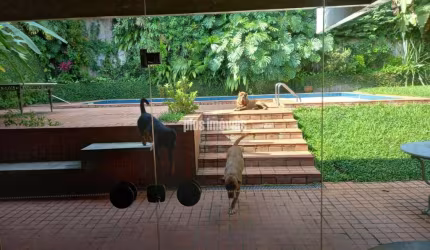 Linda Casa no Morumbi com Piscina - 520 m2