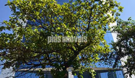 Conjunto Duplex Brooklin