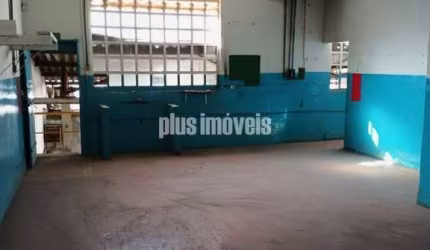 terreno plano  15 bX 50 m2   - vila Romana