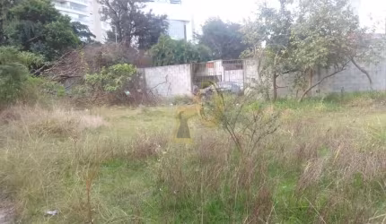 TERRENO EM PINHEIROS COM RENDA