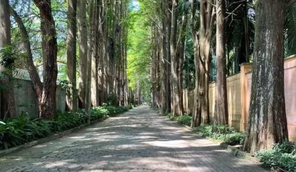 TERRENO A VENDA EM CONDOMINIO FECHADO