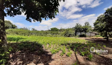 Terreno à venda, 2006 m² por R$ 394.900,00 - Portal do Santa Paula - Cotia/SP
