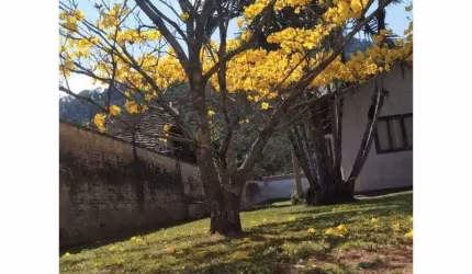 Casa  TIMBÓ - SC