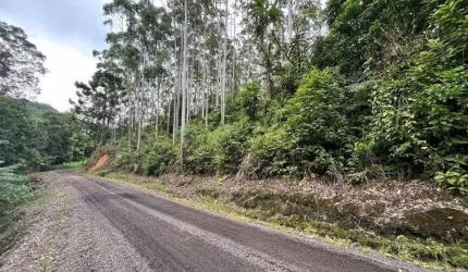 Terreno BENEDITO NOVO - SC