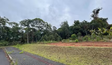 Terreno TIMBÓ - SC