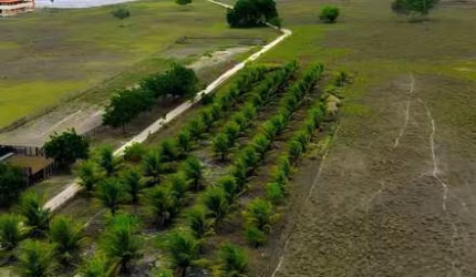 Fazenda em Brejinho