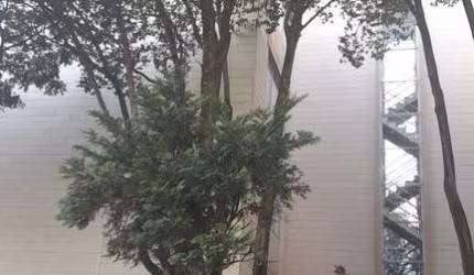 Alugo apto.2dorms 1 vaga, Conselheiro M. de Barros