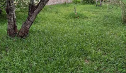 Terreno a venda caragua