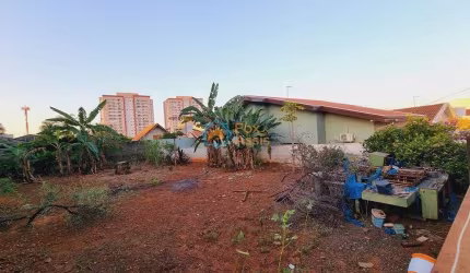 Jardim São José