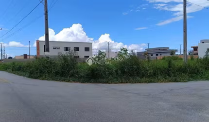 Terreno à venda na Alessandra De Andrade Klettenberg, 538, Guarda do Cubatão, Palhoça, 452 m2 por R$ 349.900