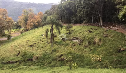 Terreno de 11.000m² a venda  junto a BR 116
