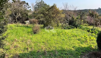 Terreno de 1845m² à venda R$ 590.000