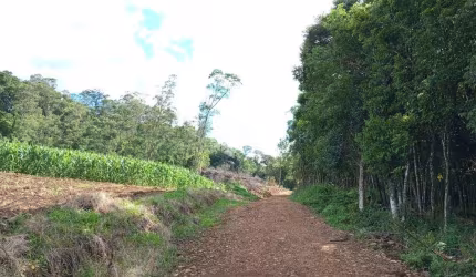 Chácara de 2 ha para venda por R$ 395.000