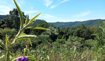 Excelente Chácara na Serra Gaúcha