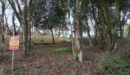 Terreno com 813m² em Nova Petrópolis