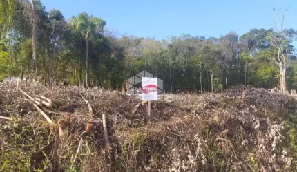 Terrenos 705 m² Loteamento no Bairro Piá
