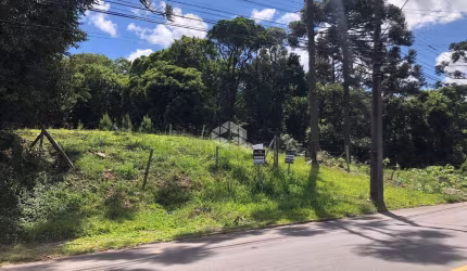 Terreno no Bairro Vila Germânia em Nova Petrópolis/ Serra Gaúcha