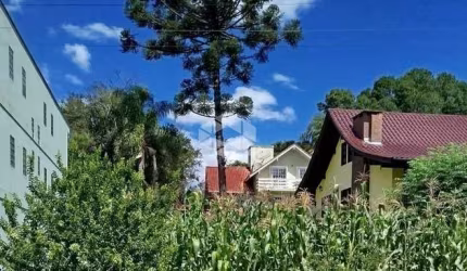 Terreno no bairro logradouro em Nova petropolis
