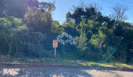 Terreno com vista