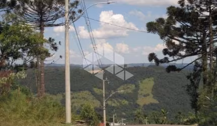 Terreno em loteamento com vista na serra gaúcha em Nova Petópolis