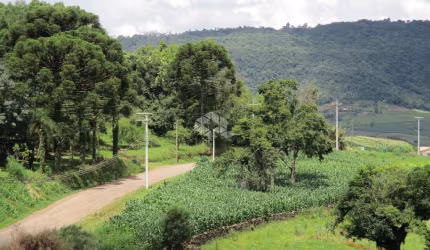 Chácara na localidade de Nove Colônias, cidade de Nova Petrópolis na serra gaúcha.